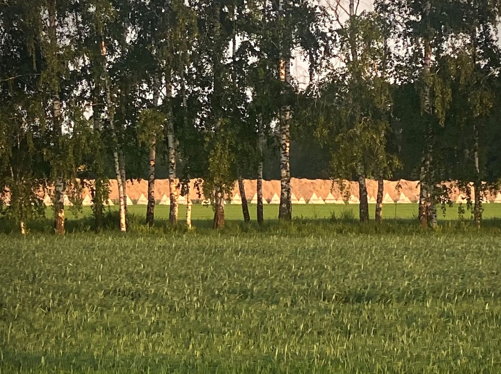 «Засечная черта» со рвами, окопами и конусами